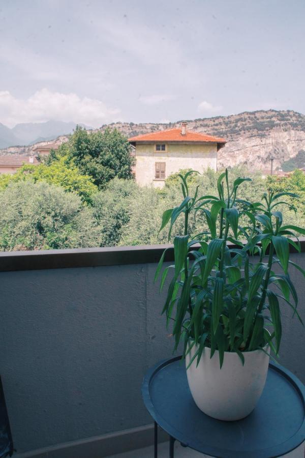 Hotel Aurora&appartamenti